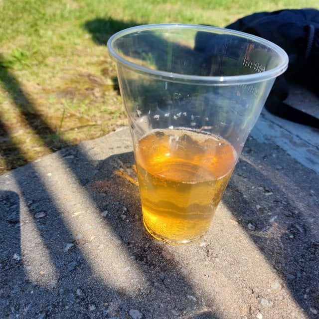 Experimentarium Vol.11 (Hopped Dry Cider With Mango)