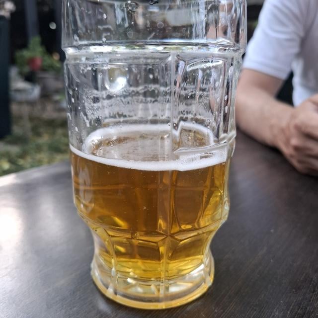 Чешское Светлое