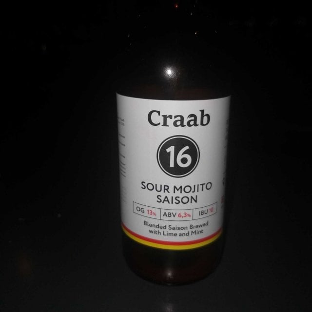  #16 Sour Mojito Saison