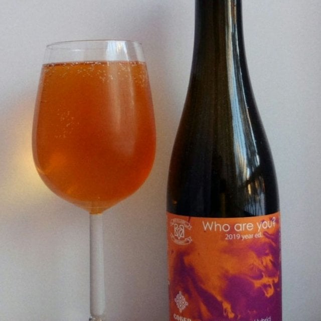 Who Are You? (2019 Year Ed.)