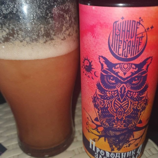 Проводник зазеркалья