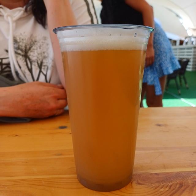 Mango  IPA
