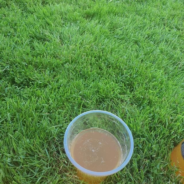 Нефильтрофф