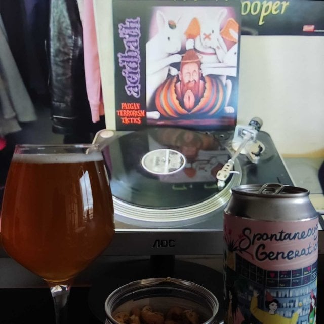 Spontaneous Generation