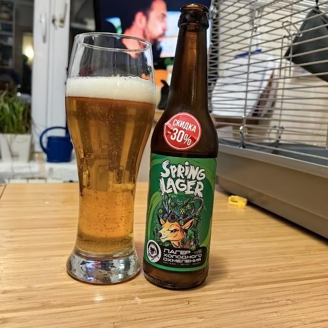 Spring Lager