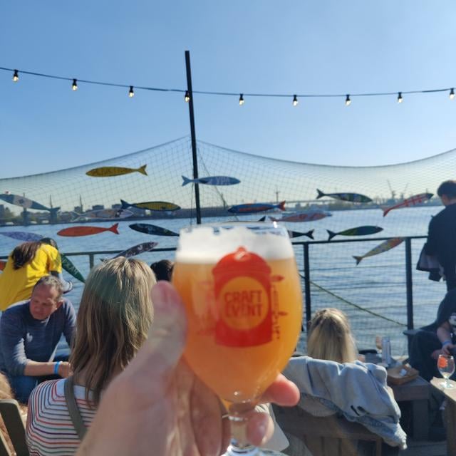 Choose Your Fighter: Cashida