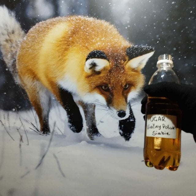 Viečny Pošuk Siabie