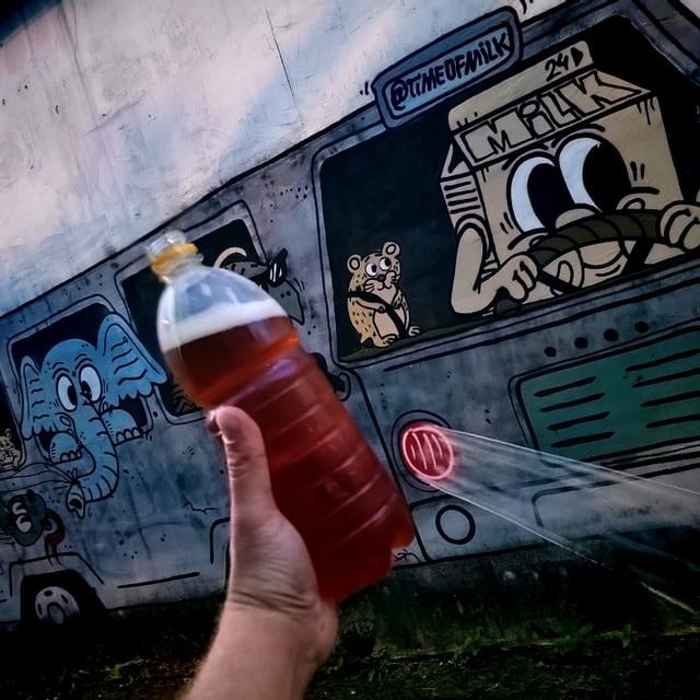 Восстание сипаев